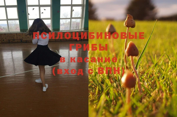 ешки Волоколамск